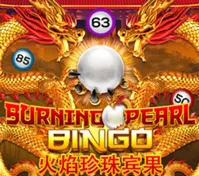Burning Pearl Bingo — game at Rjbet